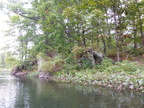IMG 4609